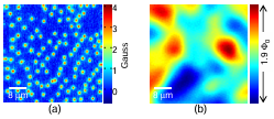  Figure 1.6: Hall probe and SQUID images of many vortices (T = 4 K). Both images are 45 45 m2. (a) 112 vortices imaged with a 0.5 m Hall probe in near-optimally doped YBCO. (b) A spatially resolution limited image of approximately 45 vortices in YBCO taken with an 8 m SQUID.