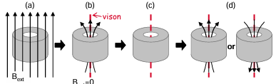  Figure 4.5: The Senthil Fisher ring experiment to test for visons in a cuprate superconductor. The steps are as follows: (a) Field cool the ring below Tc with Bext chosen to trap one ux quantum in the hole. (b) At low temperature turn o the eld, leaving an hc 2e vortex and the accompanying vison in the hole. (c) Quickly warm just above Tc to let the vortex escape but not the vison. (d) Cool back down below Tc in zero eld. An hc 2e vortex of random sign must appear in the hole due to the presence of the vison. n > 1 vortices can instead be prepared in the hole in step (a), but a vison would only be present if n was odd.