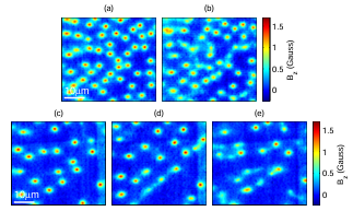  Figure 6.5: E ect of an in-plane eld on partial vortex formation in YBCO. Tc = 144 K and T =4 Kfor all the images. Field cooled through Tc in Bz = 05 G and (a) Bx = 0, (b) Bx =234 G. Field cooled through Tc in Bz = 02 G and (c) Bx = 0, (d) Bx = 117 G, (e) Bx =234 G. (The x-direction is horizontal and z is out of the page.)